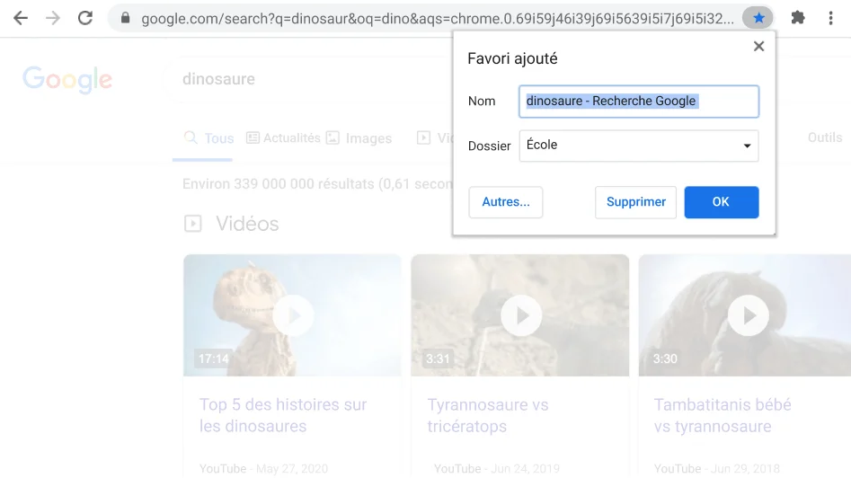Fenêtre du navigateur Chrome avec la boîte de dialogue des favoris ouverts visible.