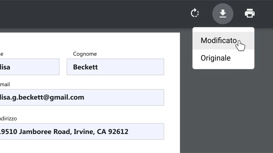Finestra del browser Chrome con un documento PDF aperto e con il menu opzioni per scaricare e stampare ingrandito.