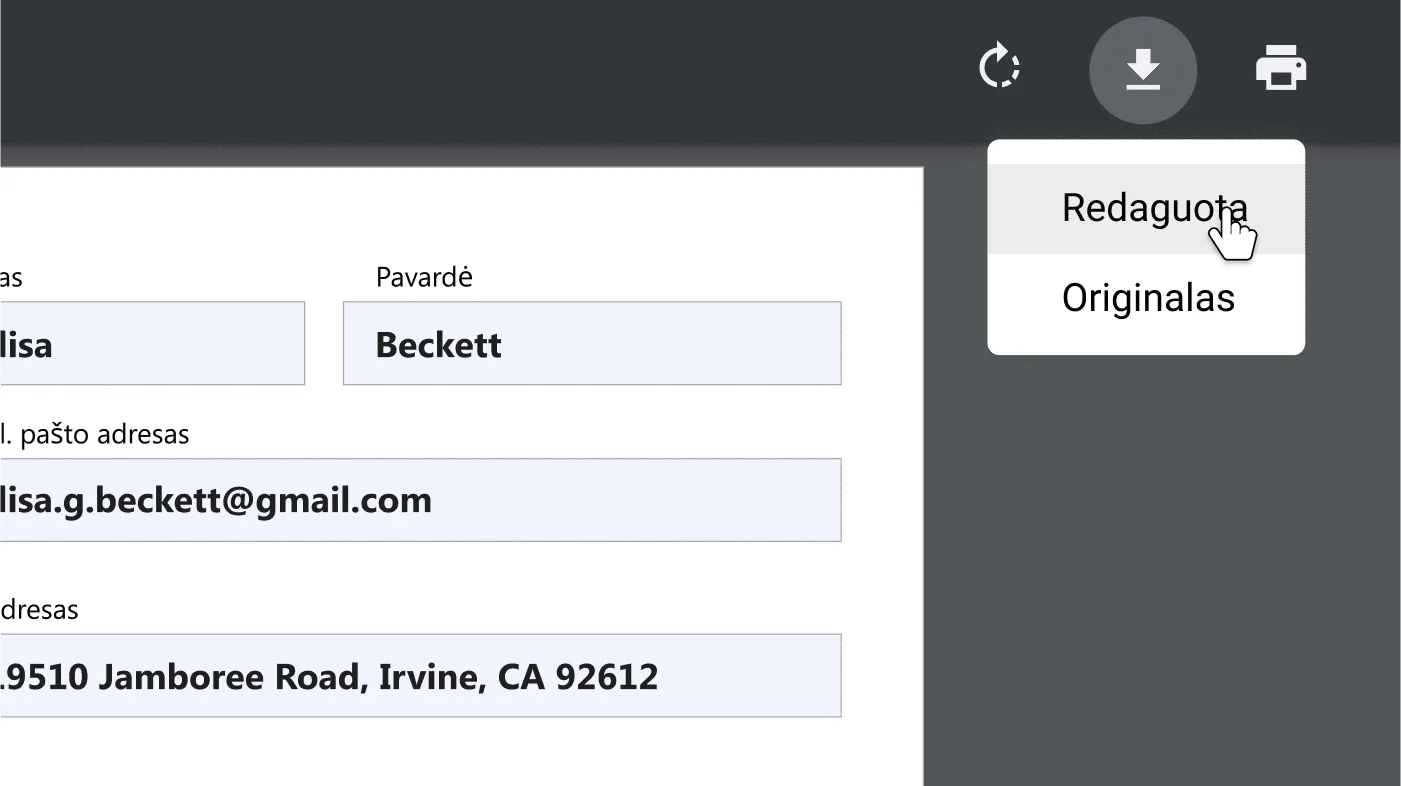 „Chrome“ naršyklės langas, kuriame atidarytas PDF dokumentas bei priartintas atsisiuntimo ir spausdinimo parinkčių meniu.